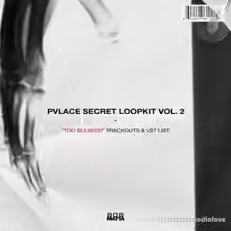 PVLACE Secret Loopkit Vol.2 [WAV]
