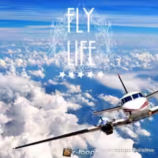 r-loops Fly Life [ACiD, WAV, MiDi]