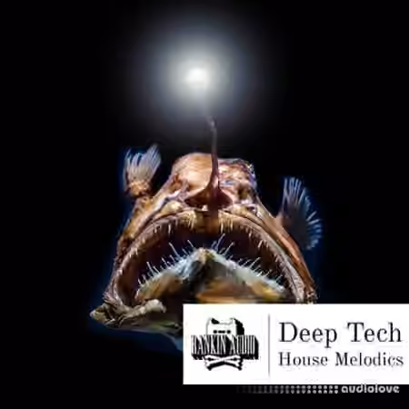 Rankin Audio Deep Tech House Melodics [WAV, MiDi]