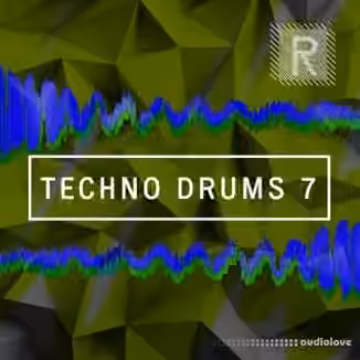 Riemann Kollektion Riemann Techno Drums 7 [WAV]