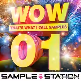 Sample Station Wow EDM Samples [WAV]