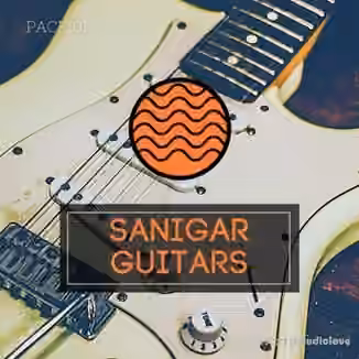 Sanigar Guitars Loop Pack 01 [WAV]