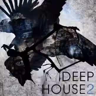 SPF Samplers Deep House 2 [WAV]