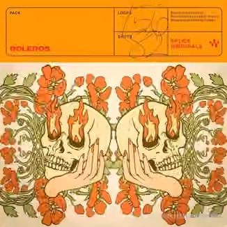 Splice Originals Boleros [WAV]
