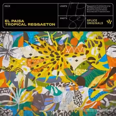 Splice Originals El Paisa Tropical Reggaeton [WAV, Synth Presets]