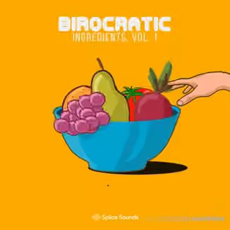 Splice Sounds Birocratic's Ingredients Sample Pack [WAV]