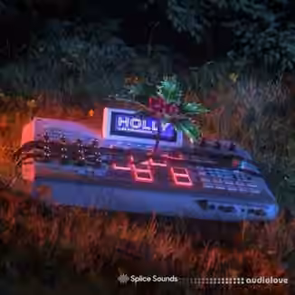 Splice Sounds Holly Ilex Sounds Vol.1 [WAV]