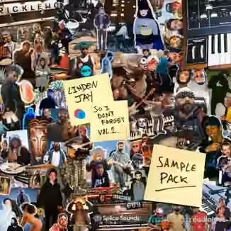 Splice Sounds Linden Jay So I Dont Forget Sample Pack [WAV]