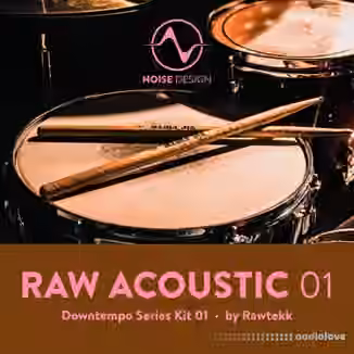 Steinberg Noise Design Raw Acoustic Downtempo 1 [Synth Presets]