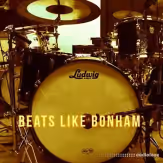 The Loop Loft Beats Like Bonham Bundle [WAV]