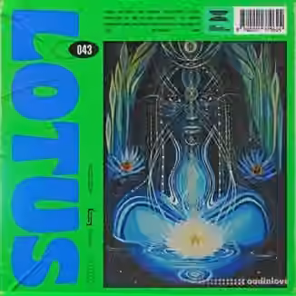 The Rucker Collective 043 Lotus [WAV]