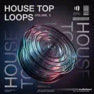 The Warehouse Sounds House Top Loops Vol.1 [WAV]