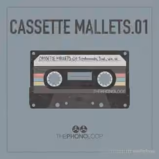 Thephonoloop Cassette Mallets.01 [KONTAKT]