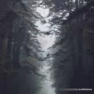 Tontario Second Nature [WAV]