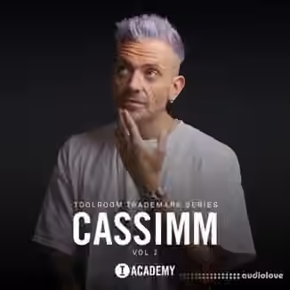 Toolroom CASSIMM Vol.2 Trademark Series [WAV]