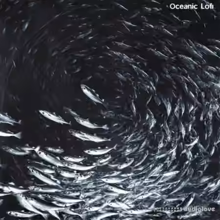 Touch Loops Oceanic LoFi [WAV]
