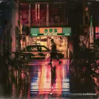 Touch Loops VHS Rhythms [WAV]