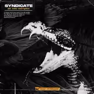 Trap Veterans Syndicate [WAV]