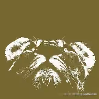 Two Track Sound Dub Ballistics [WAV]