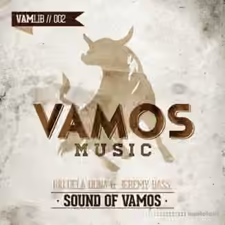 Vamos Music Sound Of Vamos [WAV]