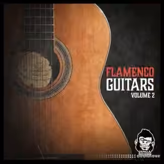 Vanilla Groove Studios Flamenco Guitars Vol.2 [WAV]