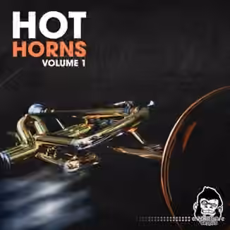 Vanilla Groove Studios Hot Horns Vol 1 [WAV]