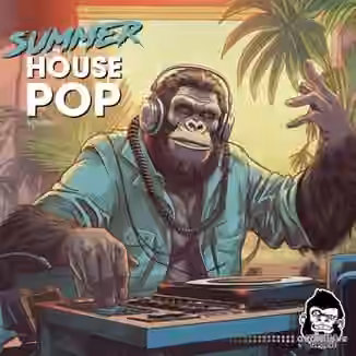 Vanilla Groove Studios Summer Pop House Vol 1 [WAV]