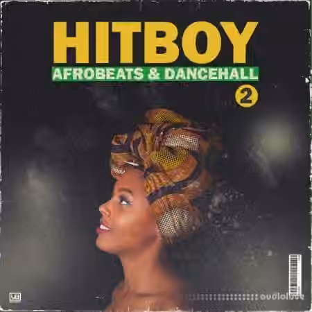 VBGotHeat HitBoy 2 Afrobeats and Dancehall [WAV, MiDi]