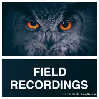 Whitenoise Records Field Recordings [WAV]